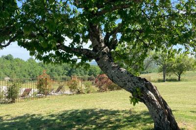 Miniature Location salle Saint-Trinit (Vaucluse) - Domaine des Maillettes #31 Location salle Saint-Trinit (Vaucluse) - Domaine des Maillettes #40