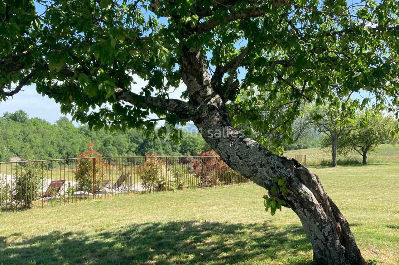 Location salle Saint-Trinit (Vaucluse) - Domaine des Maillettes #31