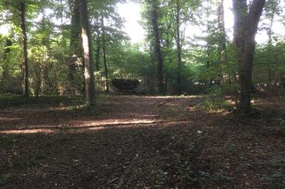 Miniature Location salle Bellignies (Nord) - Château de Bellignies #22 Salle de réception élégante avec tables dressées, chaises blanches, décorations florales et un piano en arrière-plan.