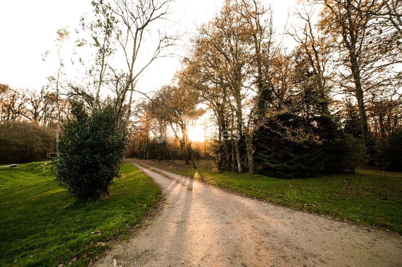 Domaine de Javardan - galerie - photo 50