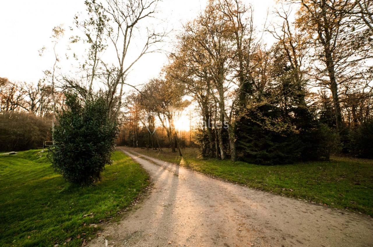 Domaine de Javardan - galerie - photo 44