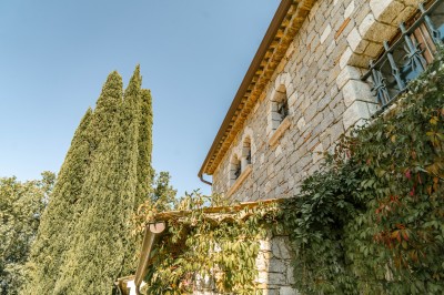 La Villa des Amandiers - photo 3