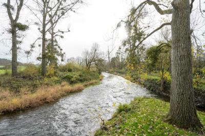 Location salle Rochefort (Namur) - Domaine de Lomme #3