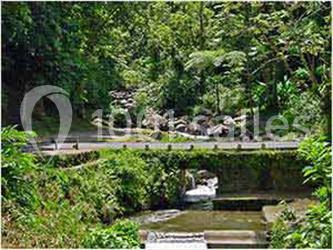 Location salle Le Morne-Rouge (Martinique) - Le Domaine De La Vallée #8