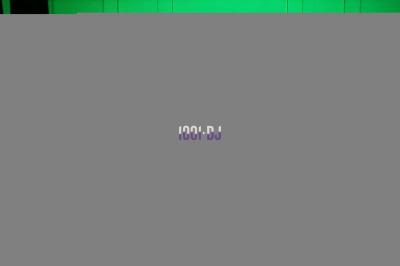 VP Animation - photo 4