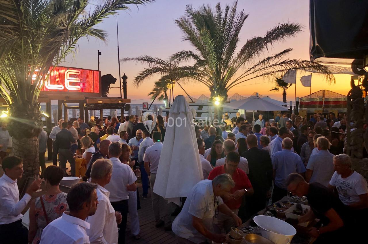 Jungle Beach - galerie - photo 11