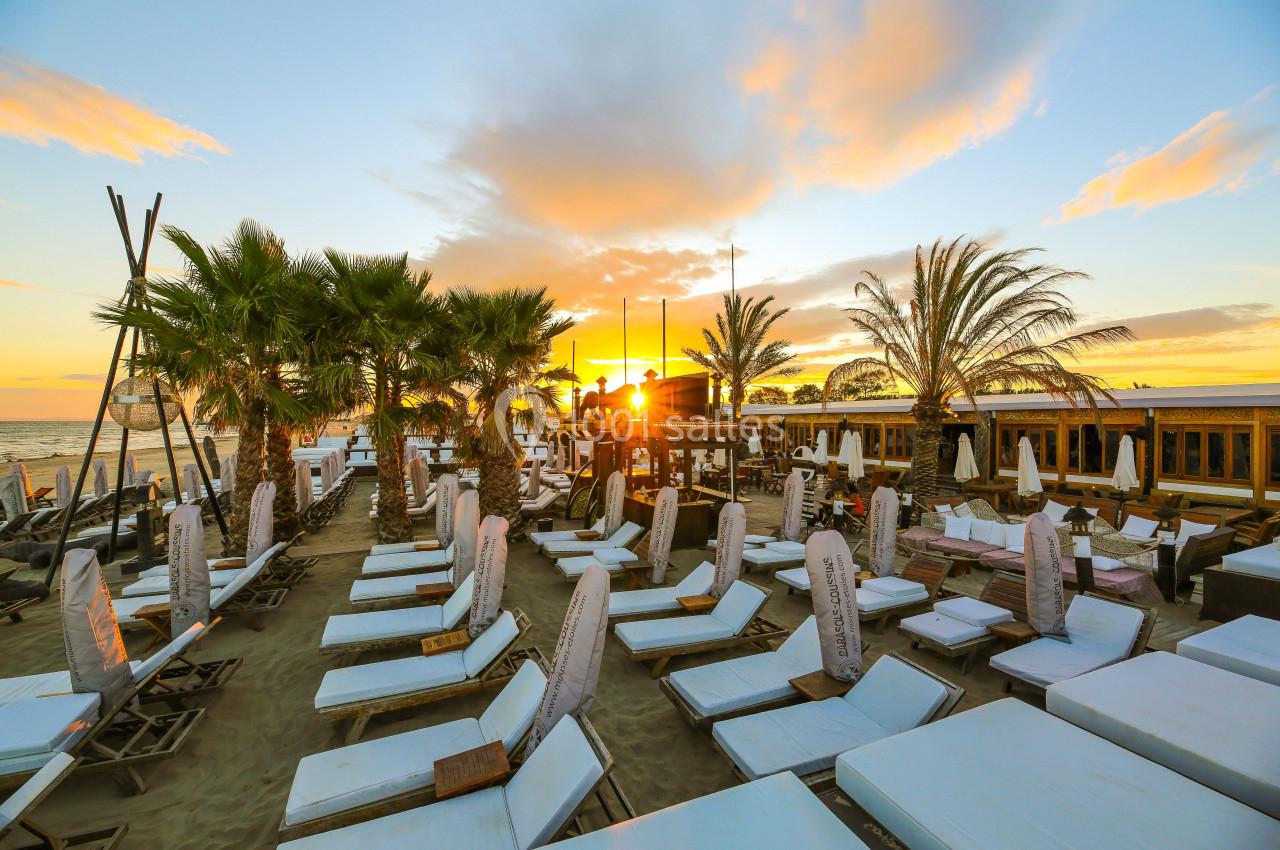 Jungle Beach - galerie - photo 12
