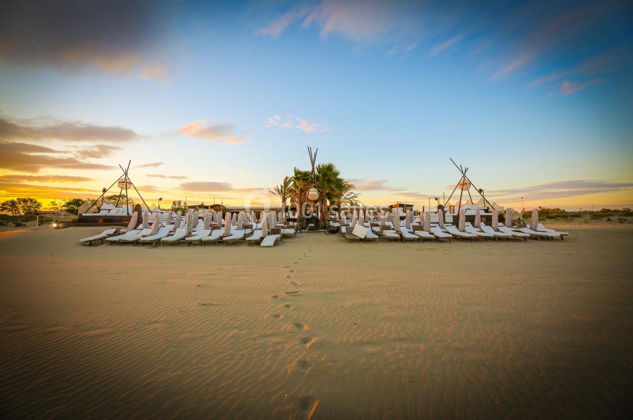 Jungle Beach - galerie - photo 13