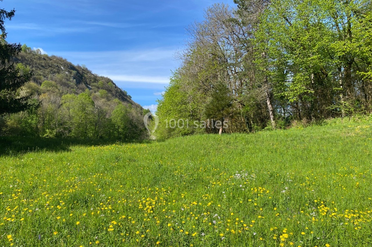 Prairie verdoyante parsemée de fleurs jaunes, bordée d'arbres et de collines sous un ciel bleu dégagé.