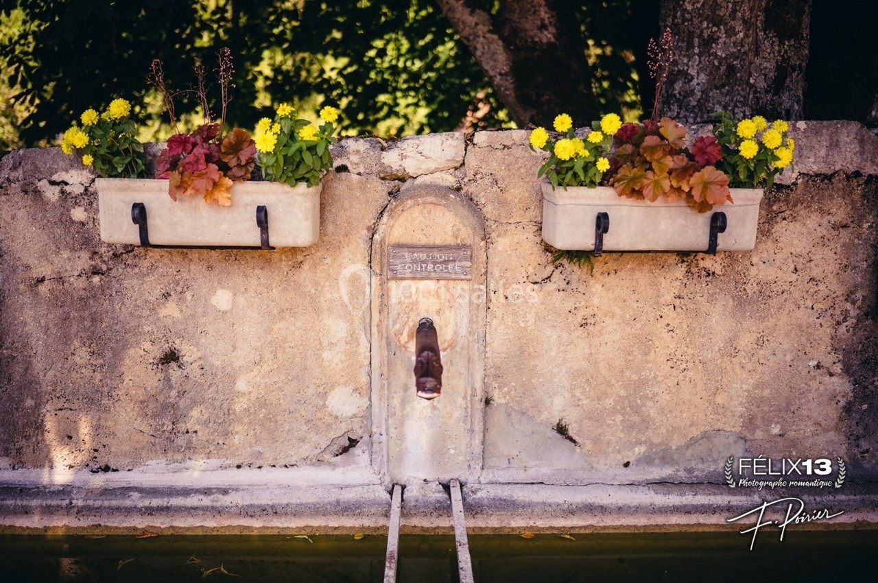 Fontaine murale ancienne avec un robinet central, encadrée de jardinières fleuries de plantes et de fleurs jaunes.
