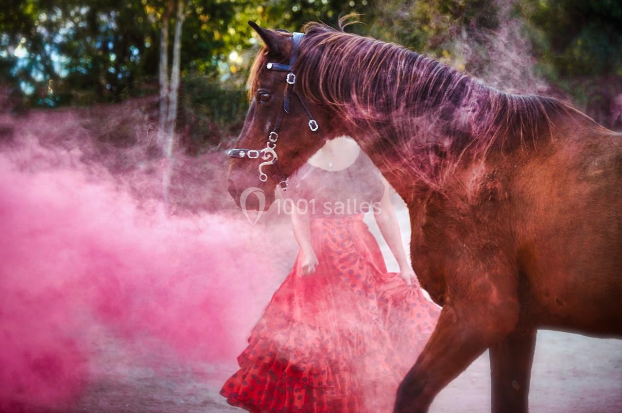 Un cheval brun près d'une femme en jupe rouge, entourés de fumée rose dans un environnement extérieur.