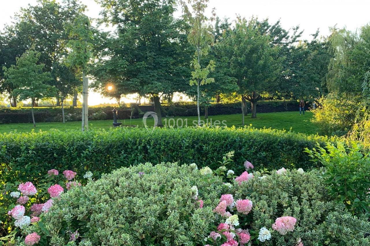 Jardin verdoyant avec des buissons fleuris au premier plan et des arbres éclairés par le soleil couchant en arrière-plan.