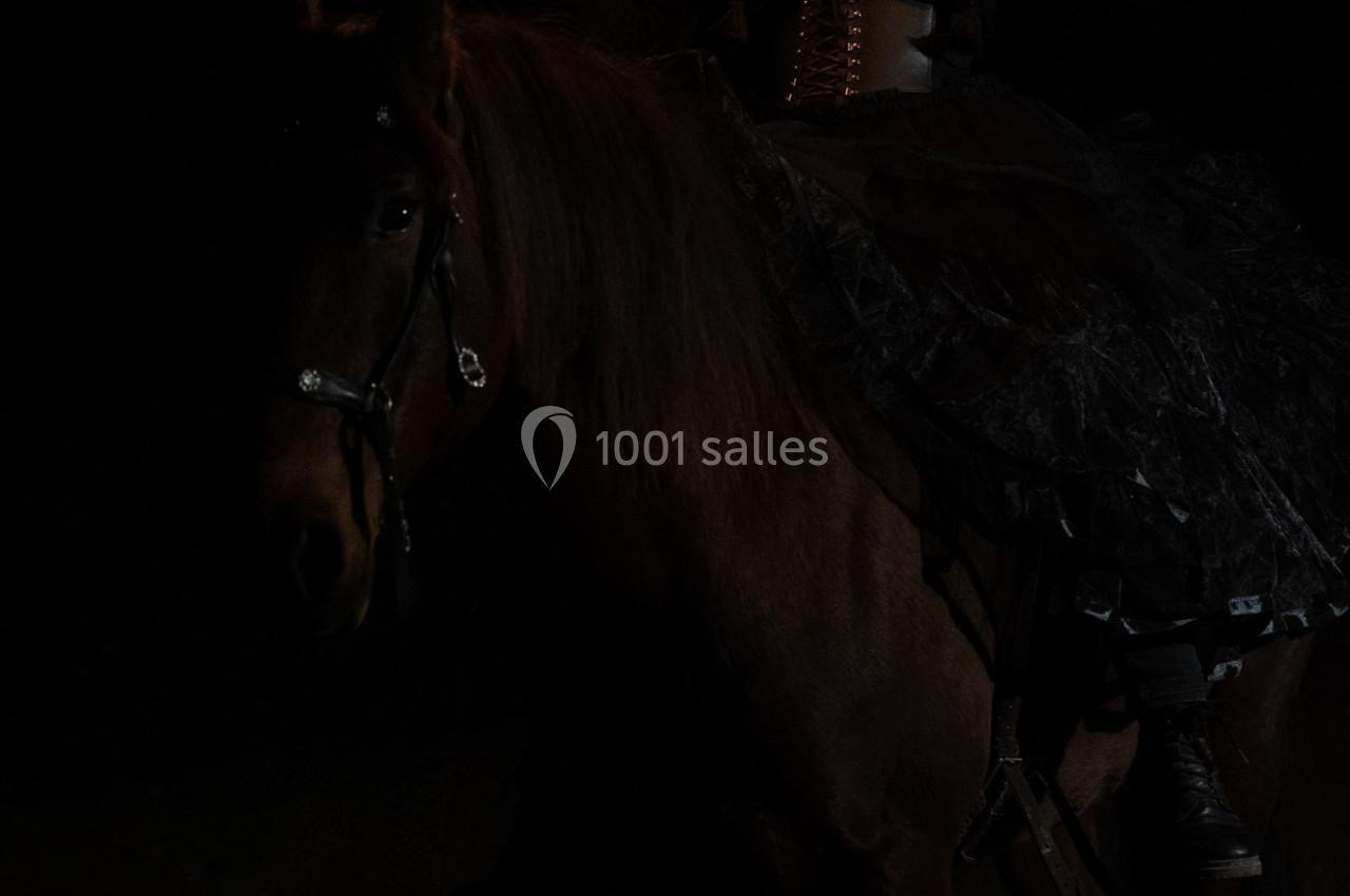Femme en tenue sombre montée sur un cheval, tenant des torches enflammées dans un environnement nocturne.