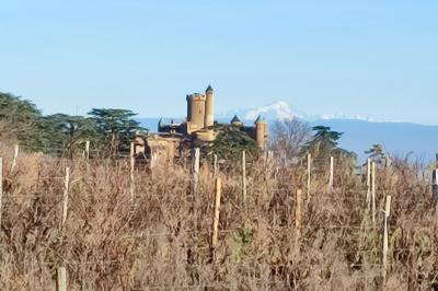 Miniature Location salle Montmelas-Saint-Sorlin (Rhône) - Château de Montmelas #25 Location salle Montmelas-Saint-Sorlin (Rhône) - Château de Montmelas #27