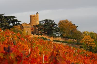 Miniature Location salle Montmelas-Saint-Sorlin (Rhône) - Château de Montmelas #4 Location salle Montmelas-Saint-Sorlin (Rhône) - Château de Montmelas #27