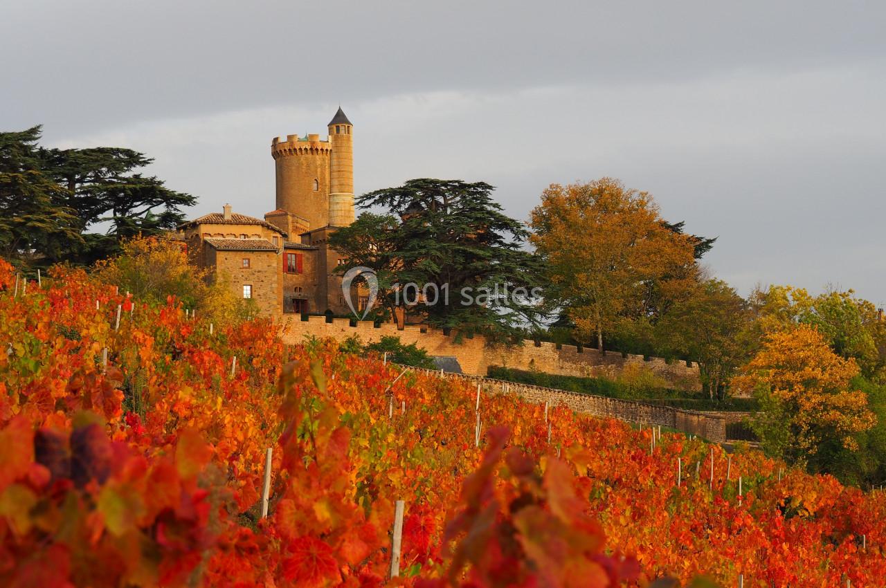Location salle Montmelas-Saint-Sorlin (Rhône) - Château de Montmelas #4 Location salle Montmelas-Saint-Sorlin (Rhône) - Château de Montmelas #4