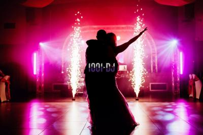 Miniature DJ Reichstett (Bas-Rhin) - AnimSon  #2 Tables hautes blanches dressées sur une pelouse avec des tonnelles blanches en arrière-plan.