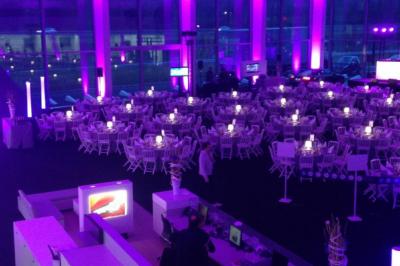 Miniature DJ Reichstett (Bas-Rhin) - AnimSon  #2 Tables dressées sous une tente blanche dans un jardin, décorées de fleurs bleues et éclairées par des guirlandes lumineuses.