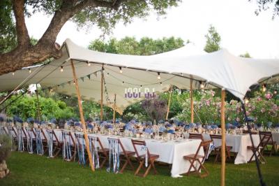 Miniature DJ Reichstett (Bas-Rhin) - AnimSon  #6 Tables dressées sous une tente blanche dans un jardin, décorées de fleurs bleues et éclairées par des guirlandes lumineuses.