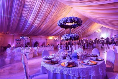AnimSon - photo 5