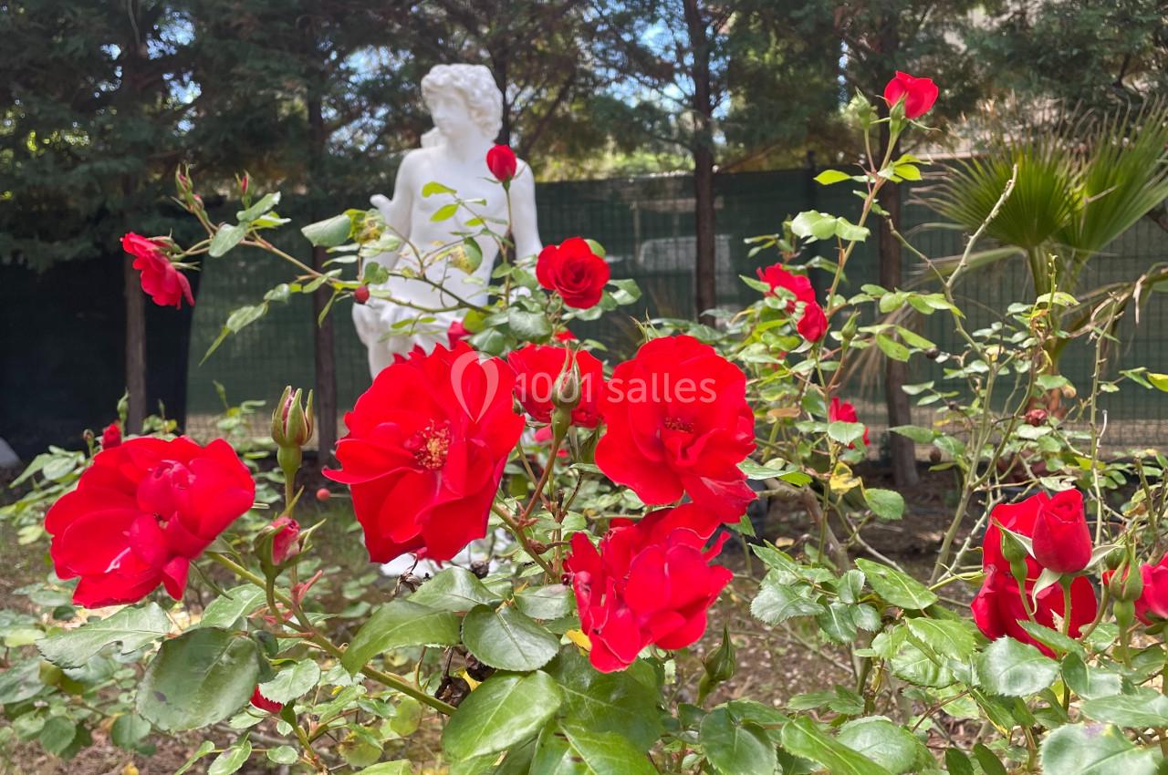 Location salle Roquevaire (Bouches-du-Rhône) - Nao Athéna #14 Rosier aux fleurs rouges éclatantes devant une statue blanche dans un jardin bordé d'arbres.