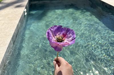 Miniature Location salle Roquevaire (Bouches-du-Rhône) - Nao Athéna #18 Table dressée avec vaisselle et fleurs bleues près d'une piscine entourée de dalles claires et de végétation.