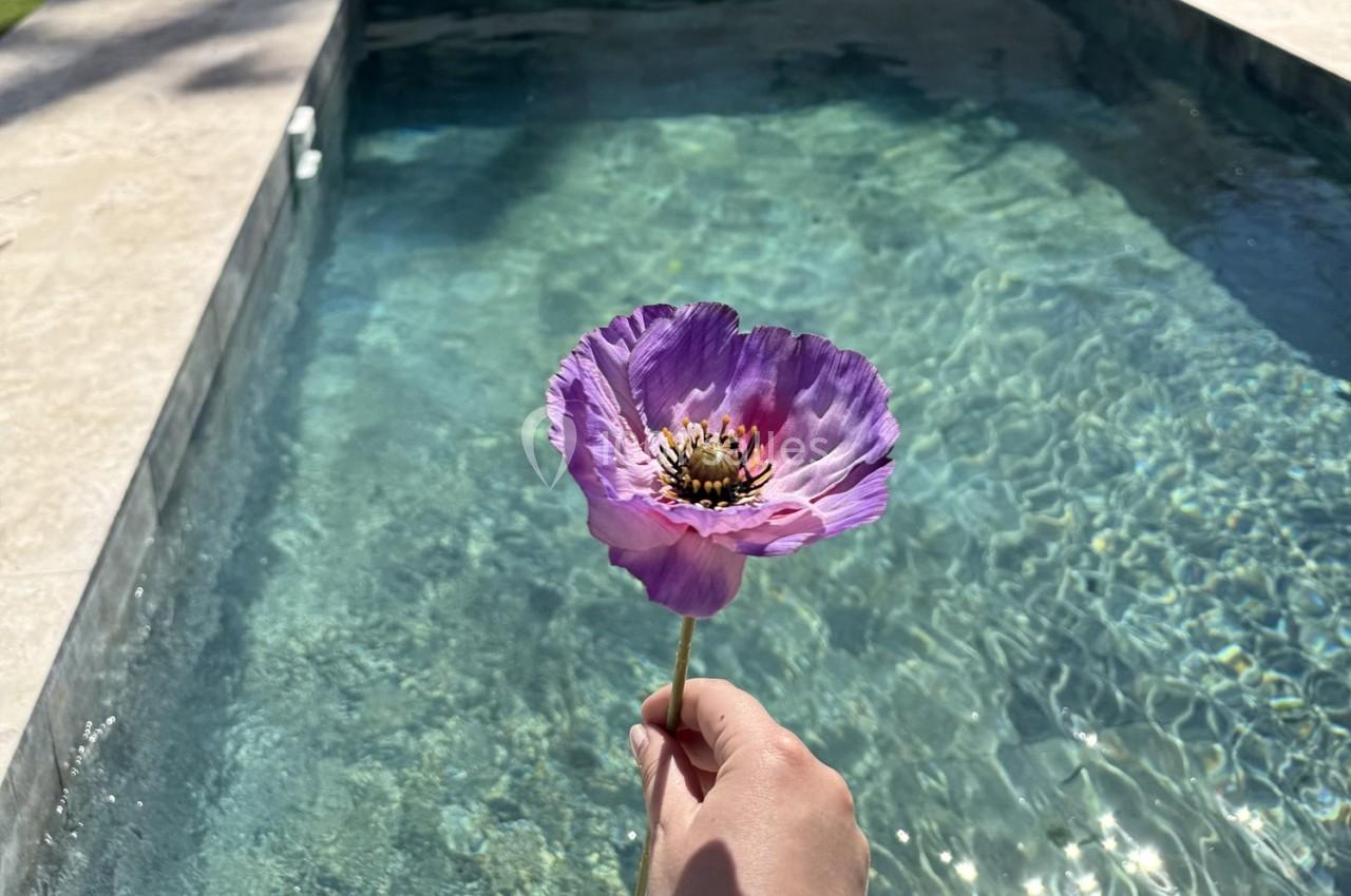Location salle Roquevaire (Bouches-du-Rhône) - Nao Athéna #18 Une main tient une fleur violette devant une piscine aux eaux claires sous un ciel ensoleillé.