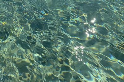 Miniature Location salle Roquevaire (Bouches-du-Rhône) - Nao Athéna #25 Table dressée avec vaisselle et fleurs bleues près d'une piscine entourée de dalles claires et de végétation.