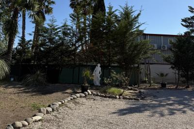 Miniature Location salle Roquevaire (Bouches-du-Rhône) - Nao Athéna #28 Table dressée avec vaisselle et fleurs bleues près d'une piscine entourée de dalles claires et de végétation.