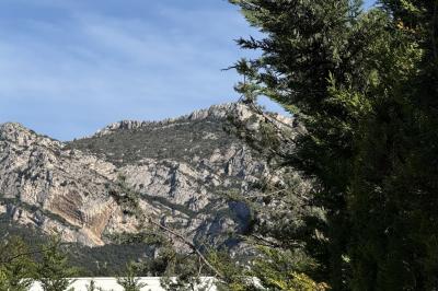 Miniature Location salle Roquevaire (Bouches-du-Rhône) - Nao Athéna #35 Table dressée avec vaisselle et fleurs bleues près d'une piscine entourée de dalles claires et de végétation.