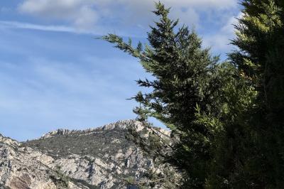 Miniature Location salle Roquevaire (Bouches-du-Rhône) - Nao Athéna #36 Table dressée avec vaisselle et fleurs bleues près d'une piscine entourée de dalles claires et de végétation.