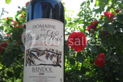 Domaine du Gros Noré - photo 3