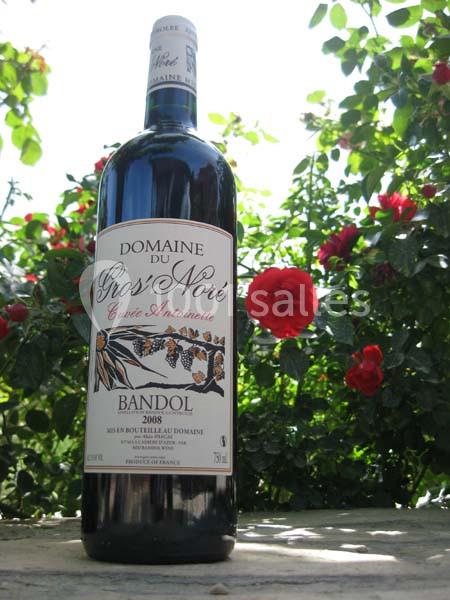 Domaine du Gros Noré - galerie - photo 3