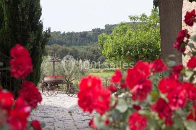 Miniature Location salle La Cadière-d'Azur (Var) - Domaine du Gros Noré #12 Location salle La Cadière-d'Azur (Var) - Domaine du Gros Noré #18