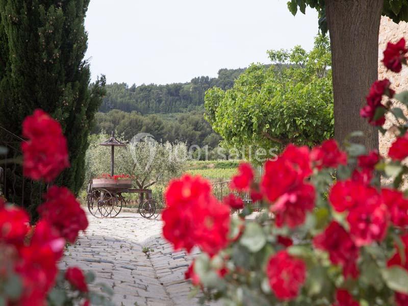 Location salle La Cadière-d'Azur (Var) - Domaine du Gros Noré #12