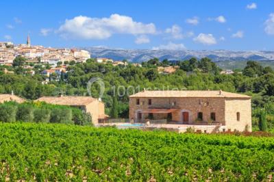 Miniature Location salle La Cadière-d'Azur (Var) - Domaine du Gros Noré #13 Location salle La Cadière-d'Azur (Var) - Domaine du Gros Noré #18
