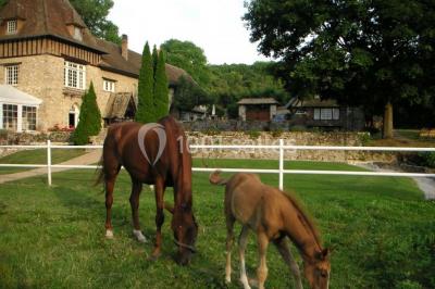 Miniature Location salle Rosay (Yvelines) - Manoir des Foulons #15 Salle décorée avec des ballons blancs et dorés, rangées de chaises rouges alignées sur un tapis rouge.
