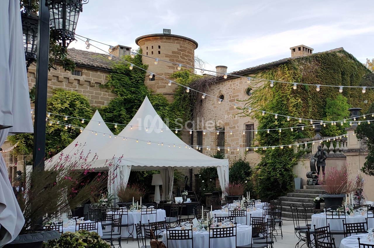 Château de la Serre - galerie - photo 1