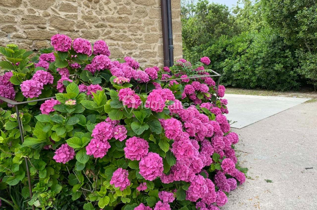 Château de la Serre - galerie - photo 24