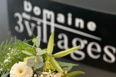 Le Domaine des 3 Villages - photo 5