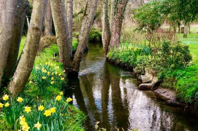Miniature Location salle Saint-Étienne-Roilaye (Oise) - Moulin Royale #8 Location salle Saint-Étienne-Roilaye (Oise) - Moulin Royale #18