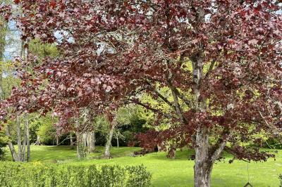 Miniature Location salle Saint-Étienne-Roilaye (Oise) - Moulin Royale #9 Location salle Saint-Étienne-Roilaye (Oise) - Moulin Royale #18
