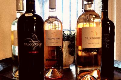 Miniature Traiteur Aups (Var) - Aux Mille Saveurs #28 Un couple coupe un gâteau éclairé de bougies étincelantes lors d'une fête dans une salle décorée.