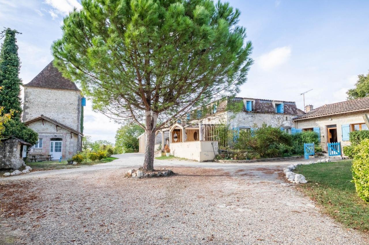 Gîtes et Auberge du Cheval Blanc - galerie - photo 9