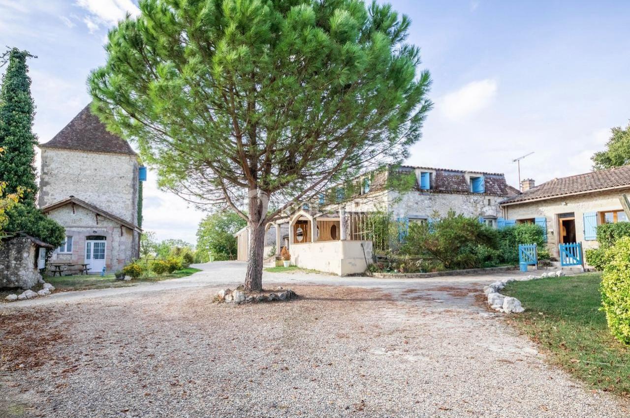 Gîtes et Auberge du Cheval Blanc - galerie - photo 1