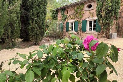 Mas des Vignes - photo 4