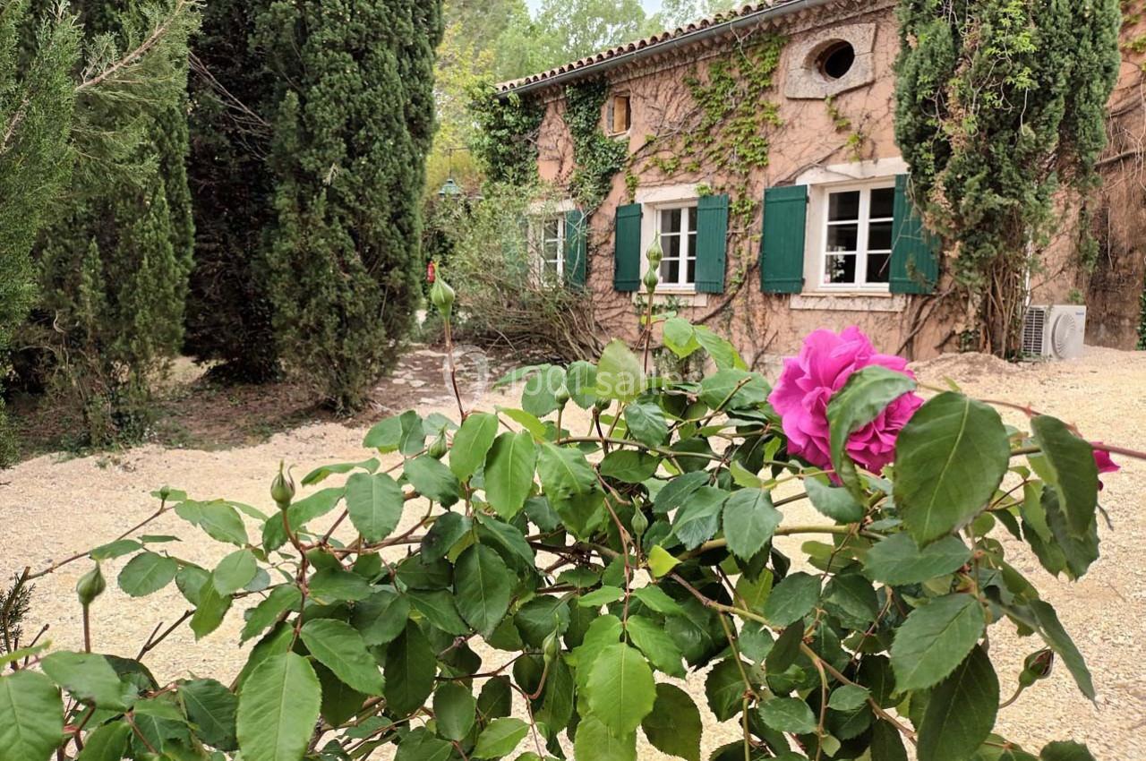 Mas des Vignes - galerie - photo 4