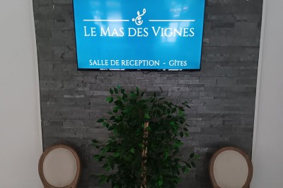 Mas des Vignes - photo 5