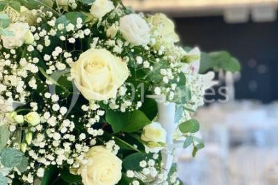 Location salle Ferrières-en-Brie (Seine-et-Marne) - Paxton Mlv #23