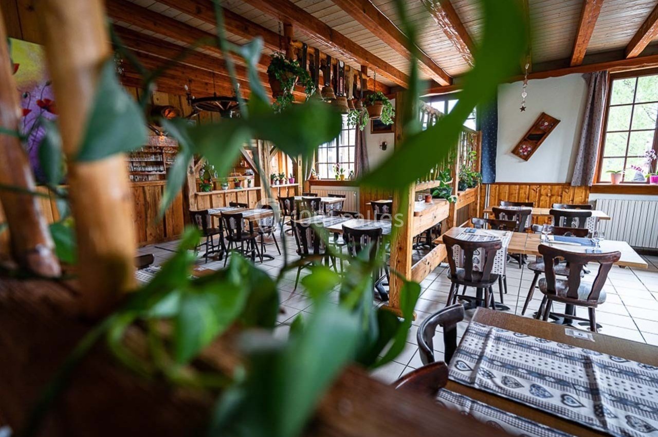 Salle de restaurant rustique avec tables en bois, plantes suspendues et lumière naturelle entrant par les fenêtres.